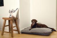 orthopädisches Hundekissen Ruba